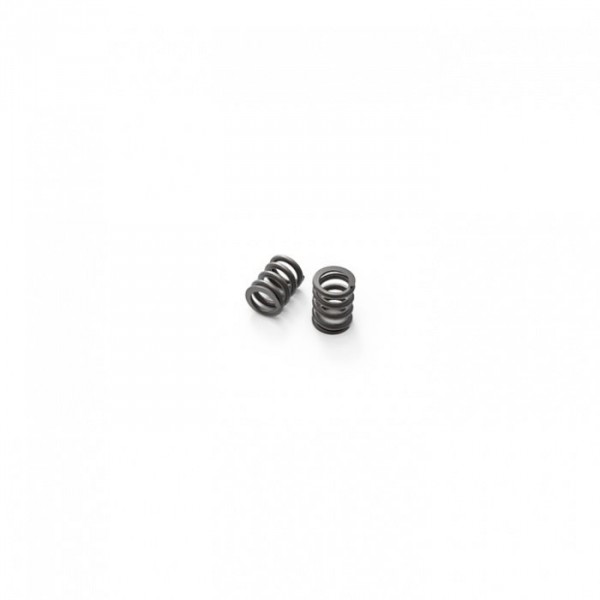 (GM60039) Slipper Spring 8.5x12mm