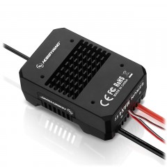 (HW30104002) EzRun MAX4 HV (černý) (4)