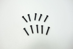 (SW106022) SWORKz ocelový Inbusový šroub s čočkovitou hlavou M2.5x14mm (10ks)