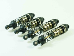 SWORKz S12-2D “Dirt Edition” 1:10 2WD Buggy Pro Kit