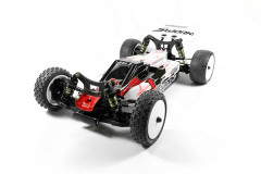 SWORKz S14-4C “Carpet Edition” 1:10 4WD Buggy Pro Kit