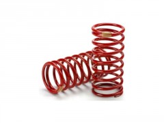 (TRA5435) Pružiny tlumiče GTR tuhost #2.6
