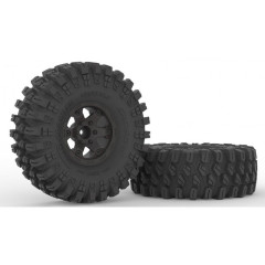 Cross-RC NT4 2.4GHz 1:10 RTR (šedý) (14)