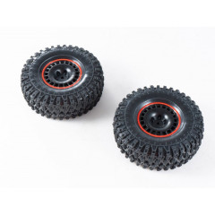 FMS Canyon RS 1:10 2.4GHz ARTR (25)
