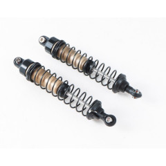 FMS Canyon RS 1:10 2.4GHz ARTR (26)